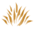Scottsdale SEO Company logo