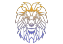 Search Lion Web Design & Digital Marketing logo