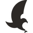 SeeHawk Graphics & Web Design Logo
