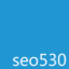 seo530 Limited Logo