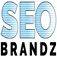 SEO Brandz Logo