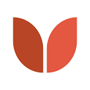 Shibui Designs Logo