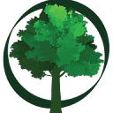 Site Tree Studio Logo