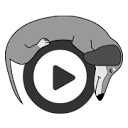 Sleepy Dog Media Group, LLC Logo