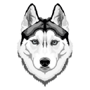 snowdog media Logo