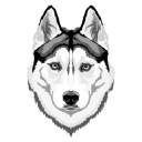 snowdog media logo