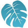 SoFloWeb Logo