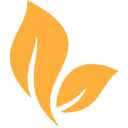 Spring Creek Media logo