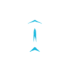 Spyder Interactive logo