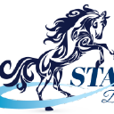 Stallions Digital Solution logo