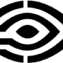 Strategic Vision Logo