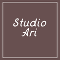 Studio Ari Websites Logo