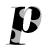 Studio Prow logo