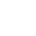 Sunbear Digital Logo