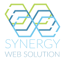 Synergy Web Solution Logo