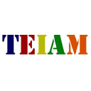 Teiam Web Design Logo