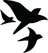 Blackbird Agency Logo