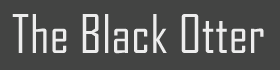 Black Otter Solutions Ltd. Logo