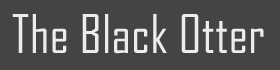 Black Otter Solutions Ltd. logo