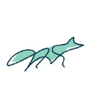The Design Fox Studio logo