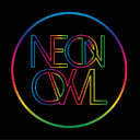 The Neon Owl Logo