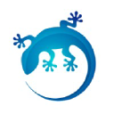 The Web Gecko Logo
