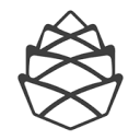 The Woodlands Web Design Logo