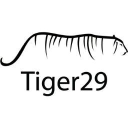Tiger29 Logo