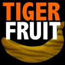 Tigerfruit Logo