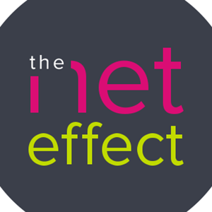 The Net Effect Website Design logo
