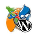 Trouble Free Websites logo