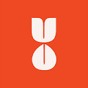 Tulip City Creative logo