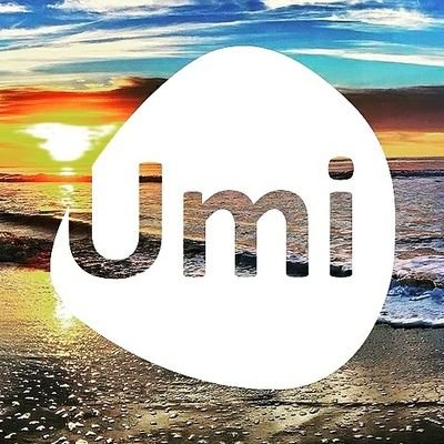 Umi Digital logo