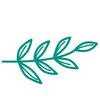 Vine Collaborative Logo