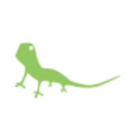 Visual Lizard Logo