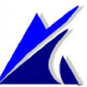 The Web Designs Group Logo
