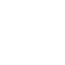 Web Lion Logo
