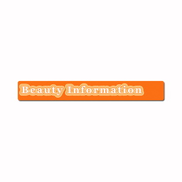 website storm logo