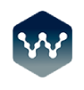 WebView Digital Consulting Logo
