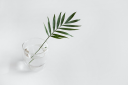 Wellness Web Designs Logo