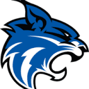 Wildcat Webworks Logo