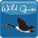 Wild Goose Art Web Design Logo