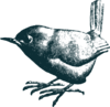 Wren Design Company Logo